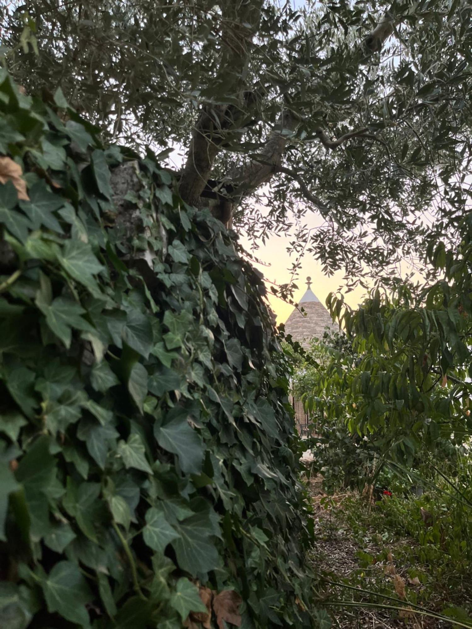 Borgo Miceli Da Giovanni ロコロトンド エクステリア 写真
